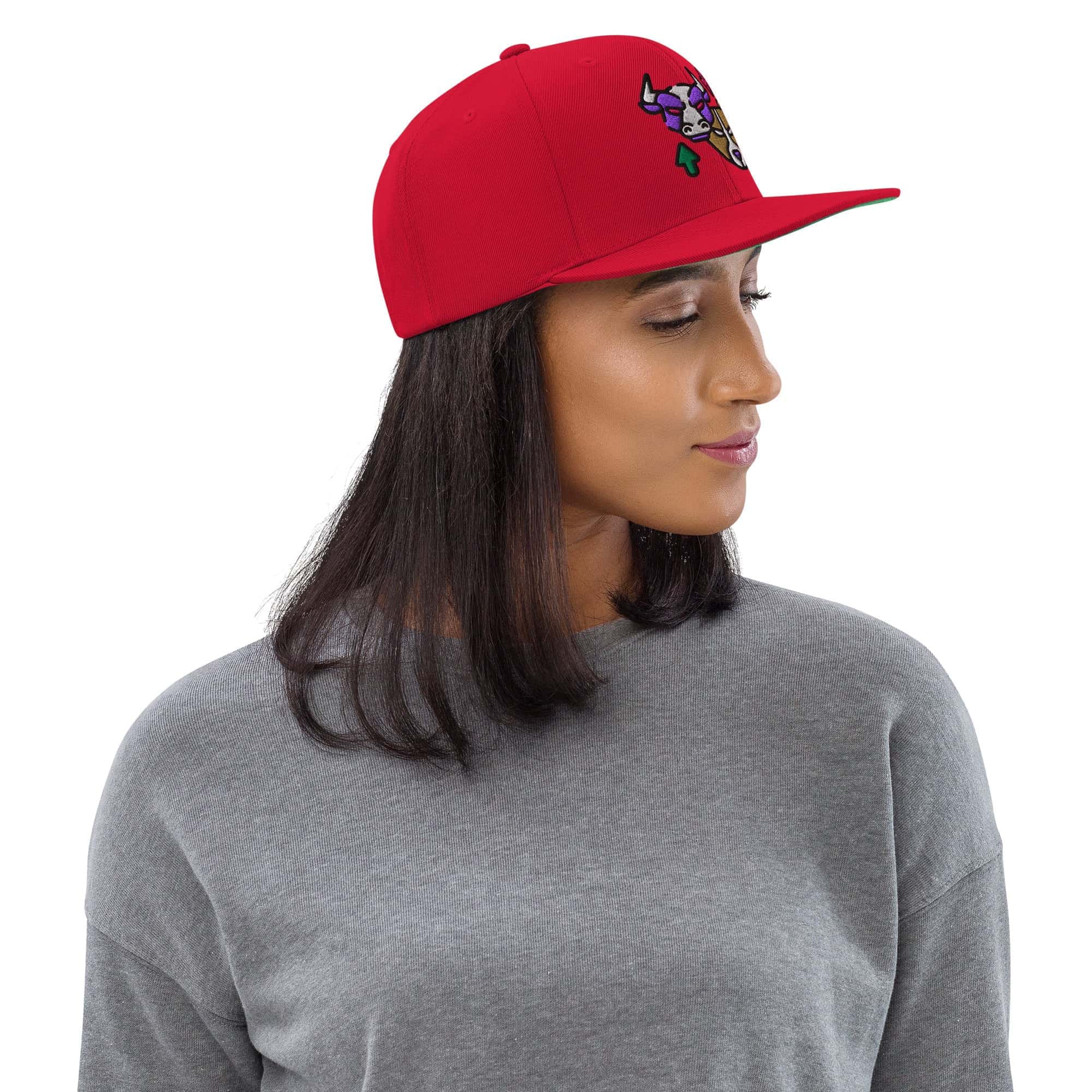 Cappellino Ricamato Unisex Snapback Regolabile – Design Bull & Bear-Biiply