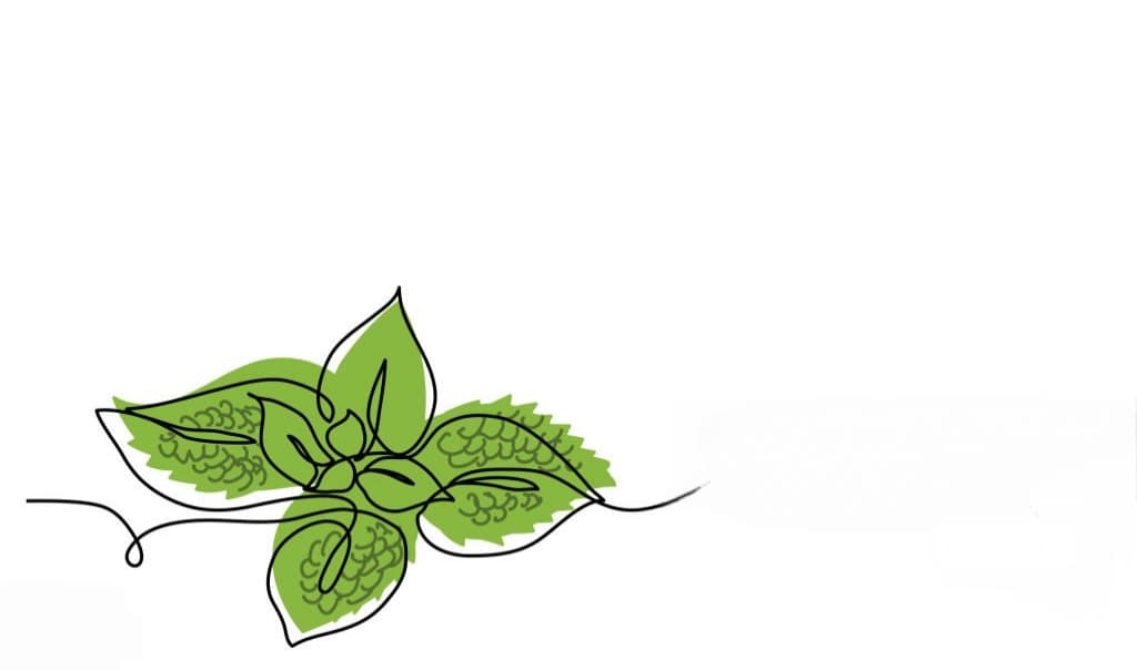 Immagine per la categoria prodotti a tema botanica