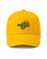 Cappellino Ricamato Unisex Da Baseball Regolabile – Design Space jam