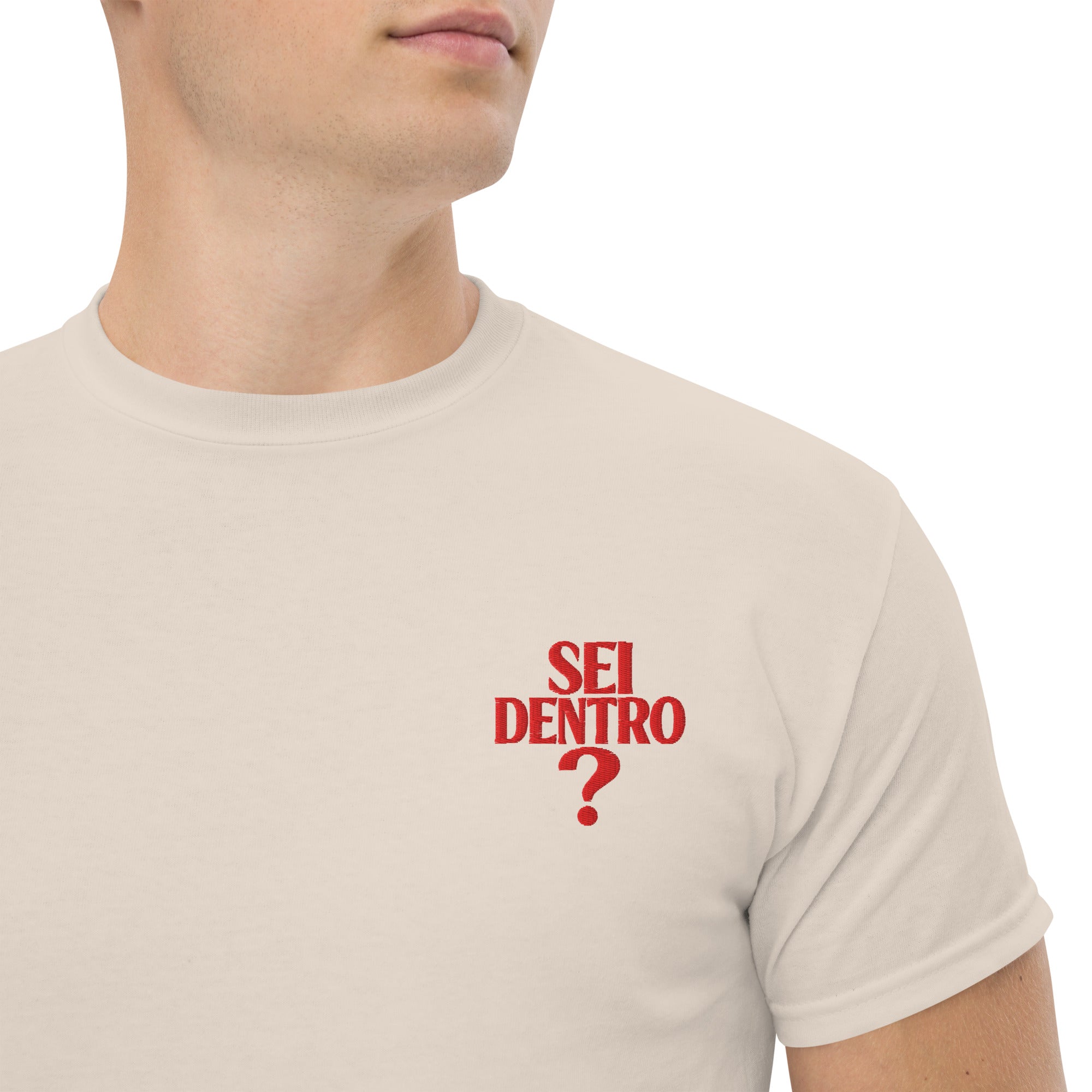 T-shirt Ricamata Unisex – 100% Cotone – Stile Streetwear e Confortevole – Sei dentro?