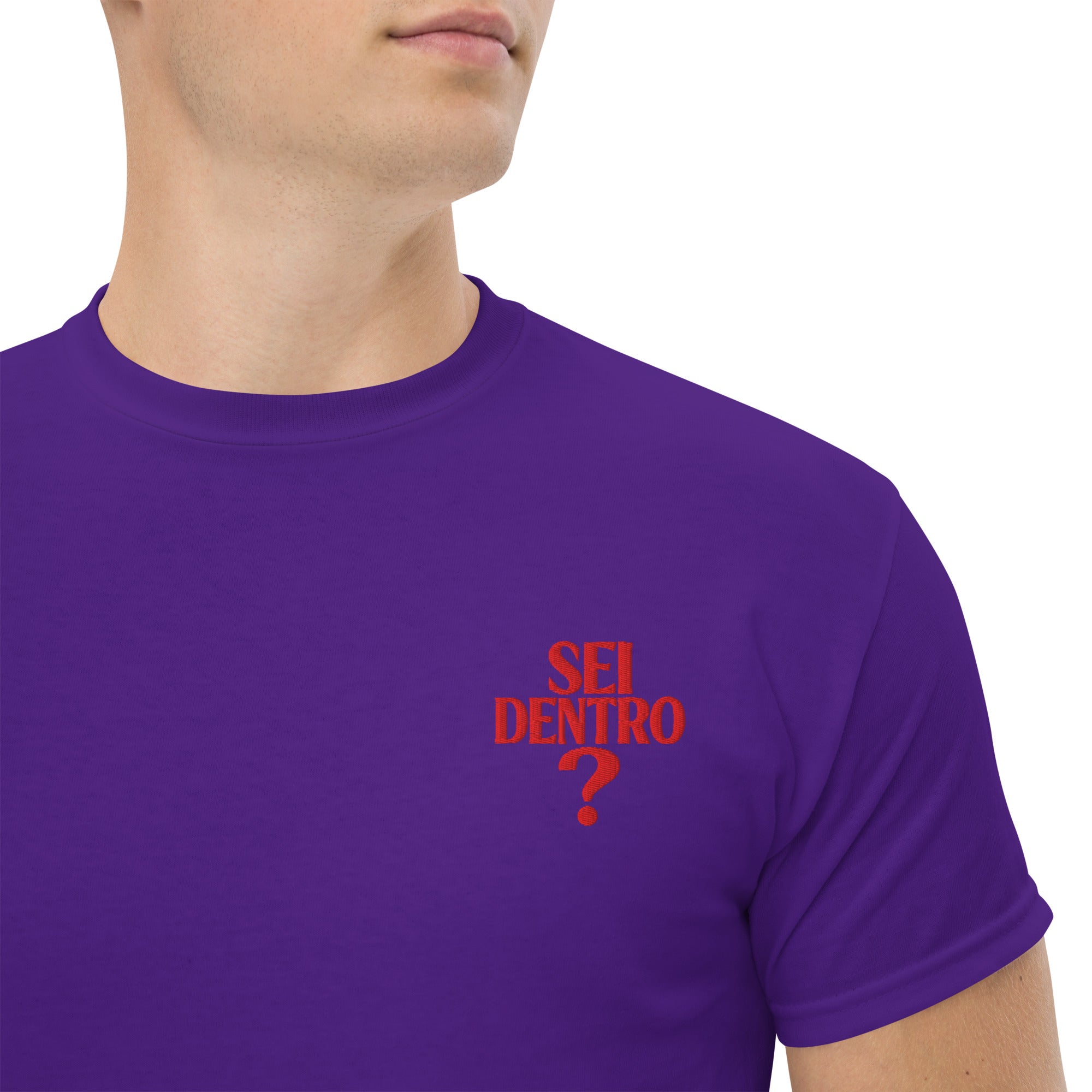 T-shirt Ricamata Unisex – 100% Cotone – Stile Streetwear e Confortevole – Sei dentro?