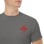 T-shirt Ricamata Unisex – 100% Cotone – Stile Streetwear e Confortevole – Sei dentro?