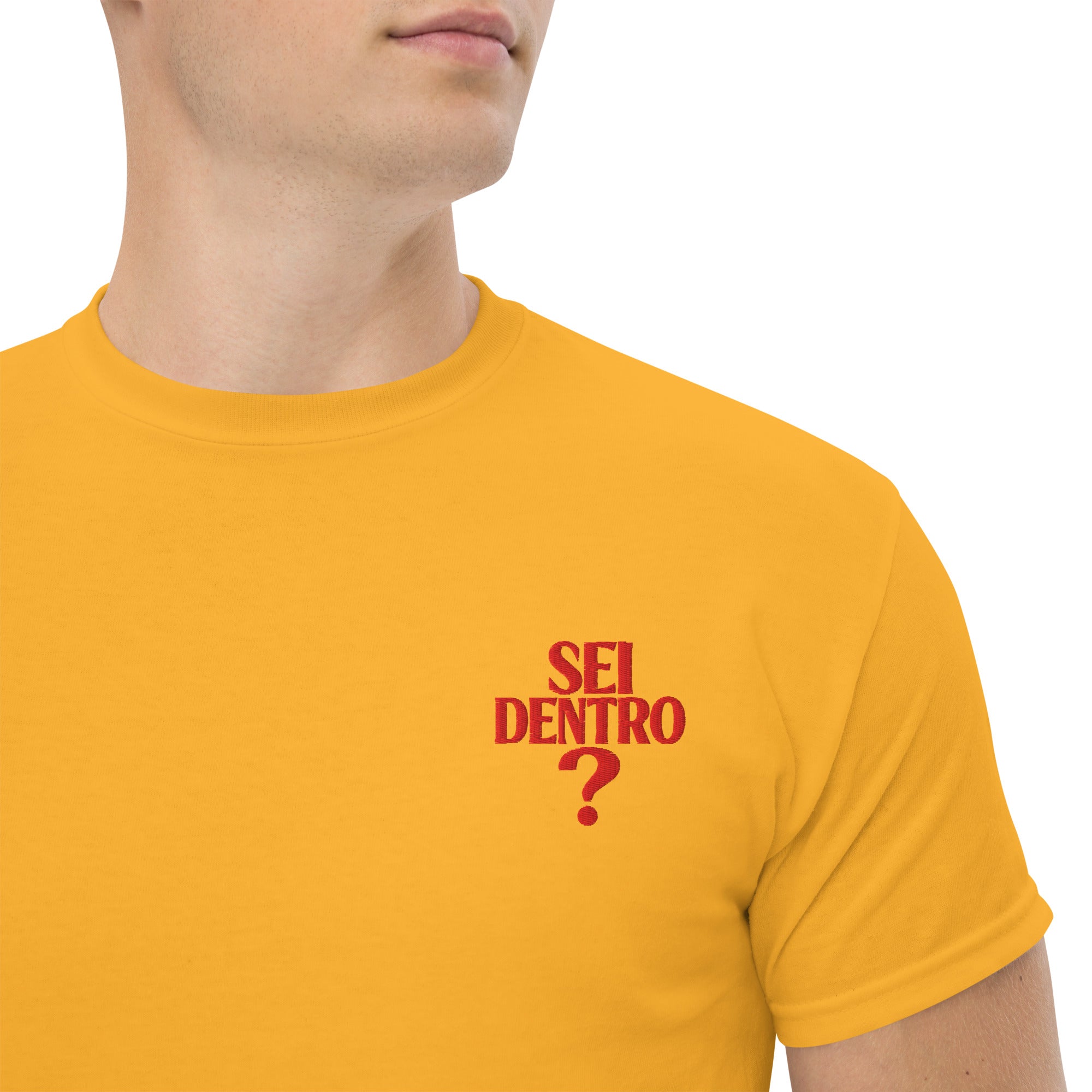 T-shirt Ricamata Unisex – 100% Cotone – Stile Streetwear e Confortevole – Sei dentro?