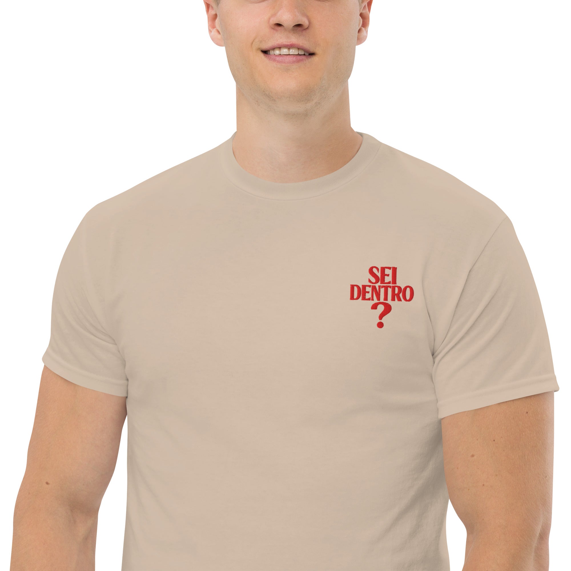 T-shirt Ricamata Unisex – 100% Cotone – Stile Streetwear e Confortevole – Sei dentro?