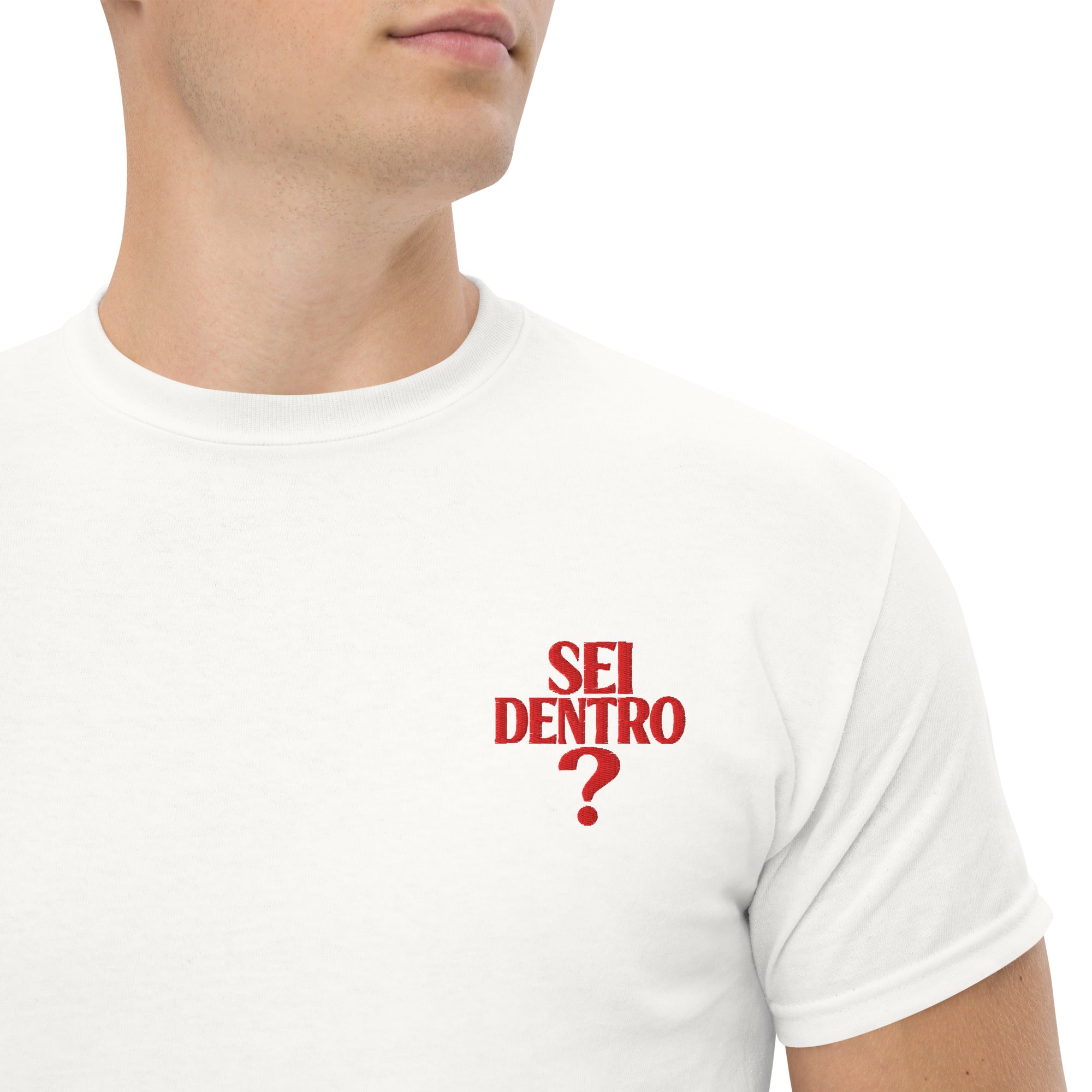 T-shirt Ricamata Unisex – 100% Cotone – Stile Streetwear e Confortevole – Sei dentro?